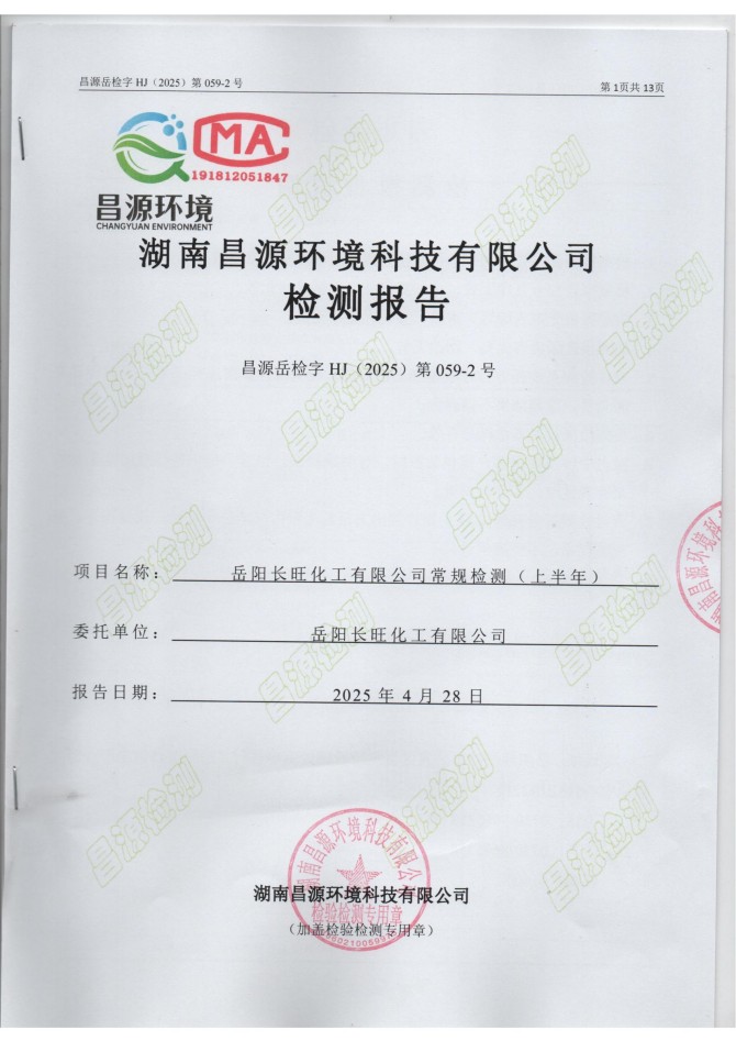 2025 上半年监测报告-废气